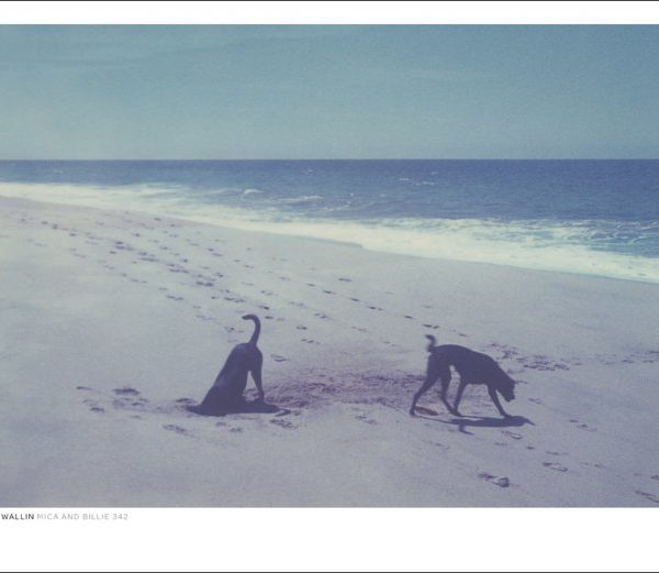 Dan Isaac Wallin『Mica and Billie』